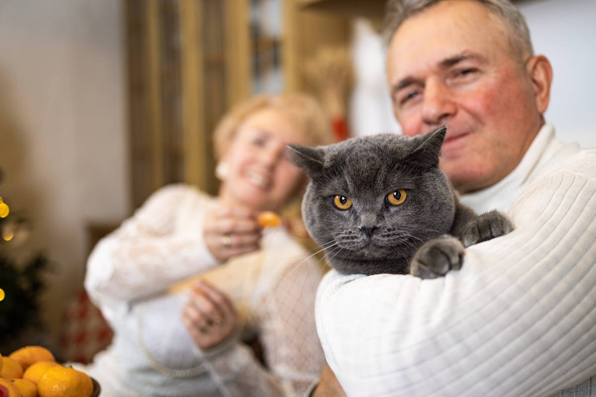 happy-senior-couple-with-cat-resting-in-kitchen-to-2023-11-29-21-42-15-utc (1)